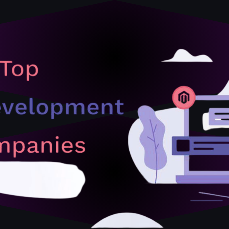 Meta Web Pro Best Web Development Company in Florida