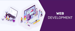 Meta Web Pro Custom Web Development Services for Small Business