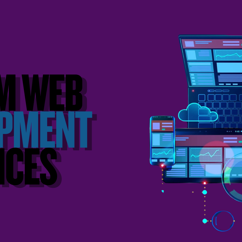 Meta Web Pro Custom Web Development Services for Small Business