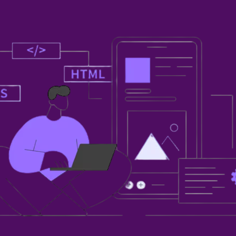 Meta Web Pro Custom Web Development in Florida