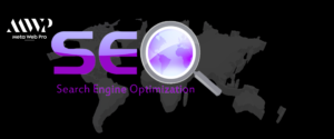 Meta Web Pro search engine optimization agencies in Florida