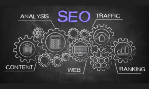 Meta Web Pro Search Engine Optimization company Florida