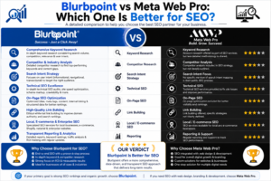 Meta Web Pro Blurbpoint Vs Meta Web Pro SEO Services